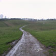 Path cutting through the centre of the site, 2004
