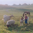 Animals from the Moston Vale Animal Sanctuary, circa 1980